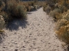 trail-1