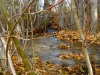 trail-2