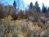 trail-3