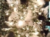 tree-2