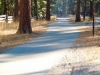 trail-1