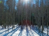 snowshoe-2