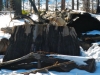 snowshoe-5