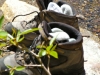 hike-5