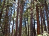 hike-9
