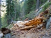 hawley-6