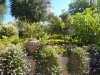 hearst-7