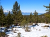 snowshoe-1