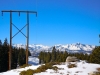 snowshoe-4