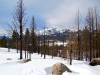 snow-4