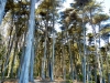 presidio-5