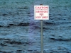 lakeland-2