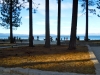 lakeview-1