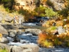 mccloud-1
