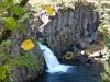 mccloud-4