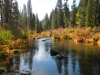 mccloud-5