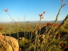 hike-1