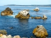 carmel-3