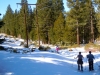 snowshoe-1