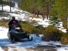 snowshoe-3