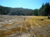 lake-3