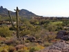 scottsdale-9