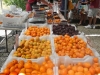 farm-4