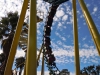 ride-1