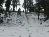 sled-3