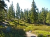 hike-2