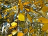 hike-5