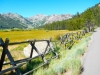 bike-2