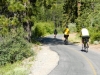 bike-4