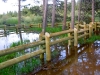 creek-1