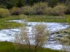 creek-3