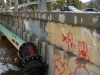 dscn6180