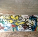 trout-2