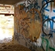 trout-3