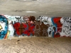 trout-5