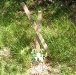 mead-5