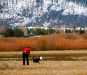marsh-1