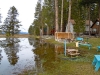 marsh-2