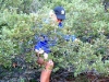 hike-5
