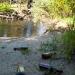 river-1