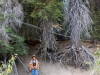 river-1