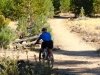 cycle-2