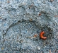 van-sickle-10_1