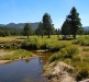 washoe-2