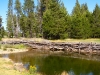 washoe-3
