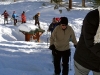 The National Winter Trails Day snowshoe hike to Castle Rock had 37 particpants.